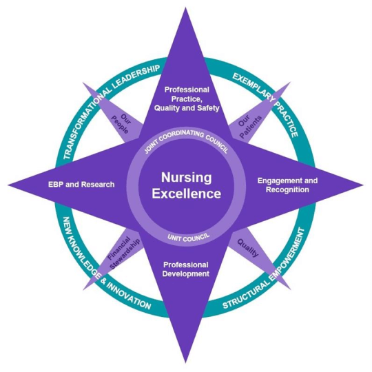 Nursing Excellence Chart