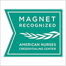 Magnet recognized