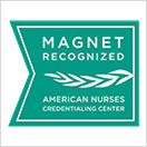 Magnet recognized