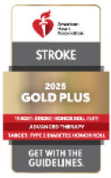 Stroke - Gold Pluys