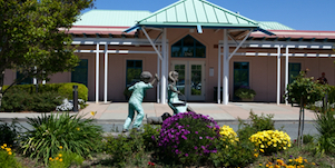 behavioral health services